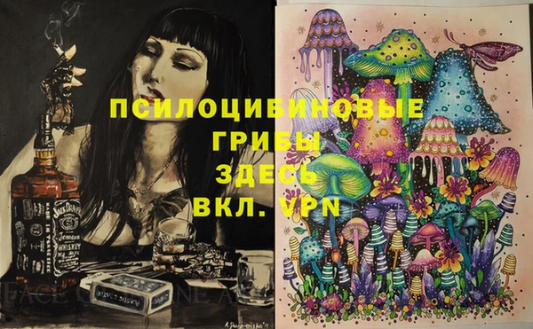 ГАЛЛЮЦИНОГЕННЫЕ ГРИБЫ Армянск