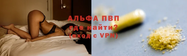 эйфоретик Аркадак