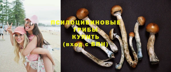эйфоретик Аркадак