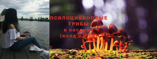 эйфоретик Аркадак