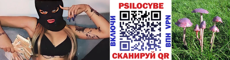 Купить  Верхнеуральск  Галлюциногенные грибы Psilocybine cubensis 